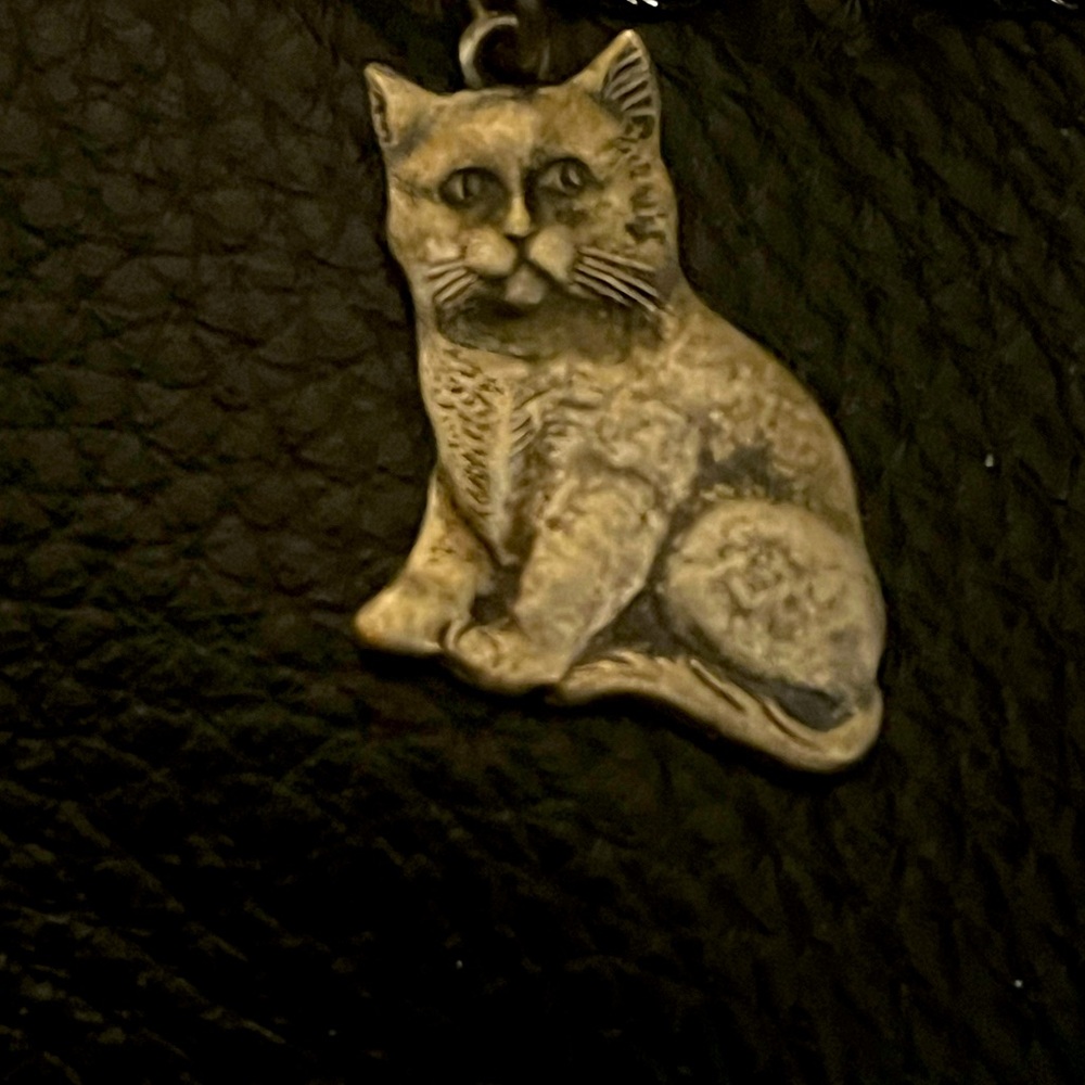 #12 Miss Grumpy Cat Charm - image 1